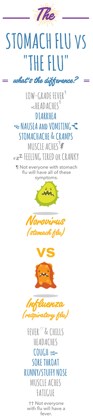 Stomach Flu Symptoms, Treatment & Remedies |
