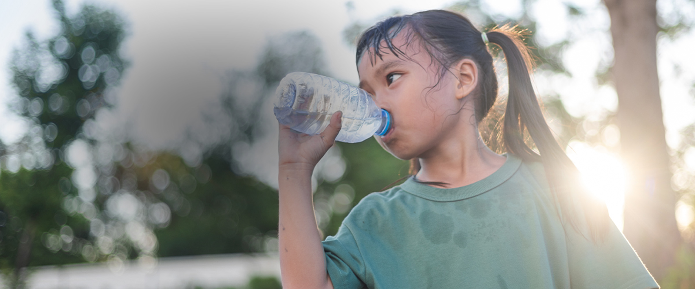 When to use "heat" banner, pedialyte helps hydrate during heat.