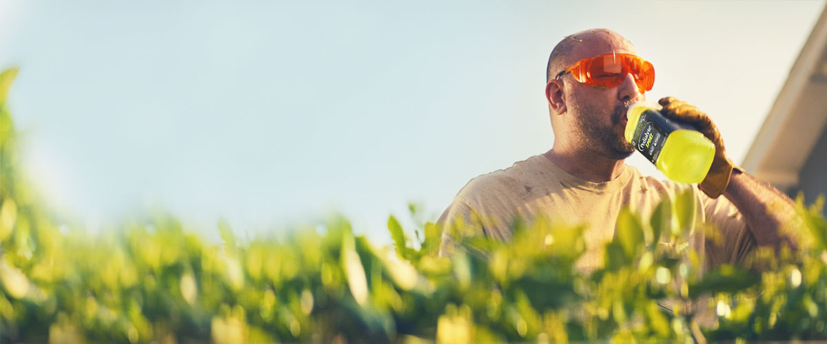 A sweaty man trimming hedges in the heat takes a break to drink from a liter of Pedialyte® Sport for hydration.